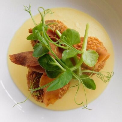 Plate of Food